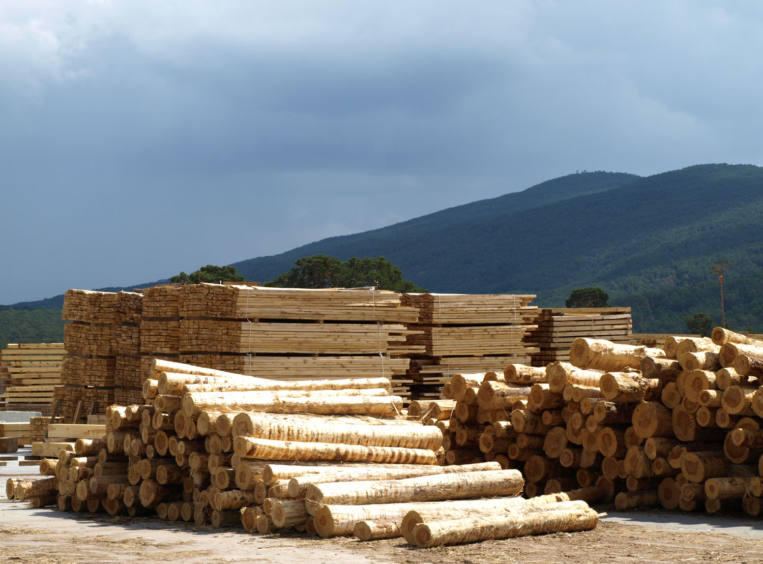 Coopwood Actu Lancement Plateforme